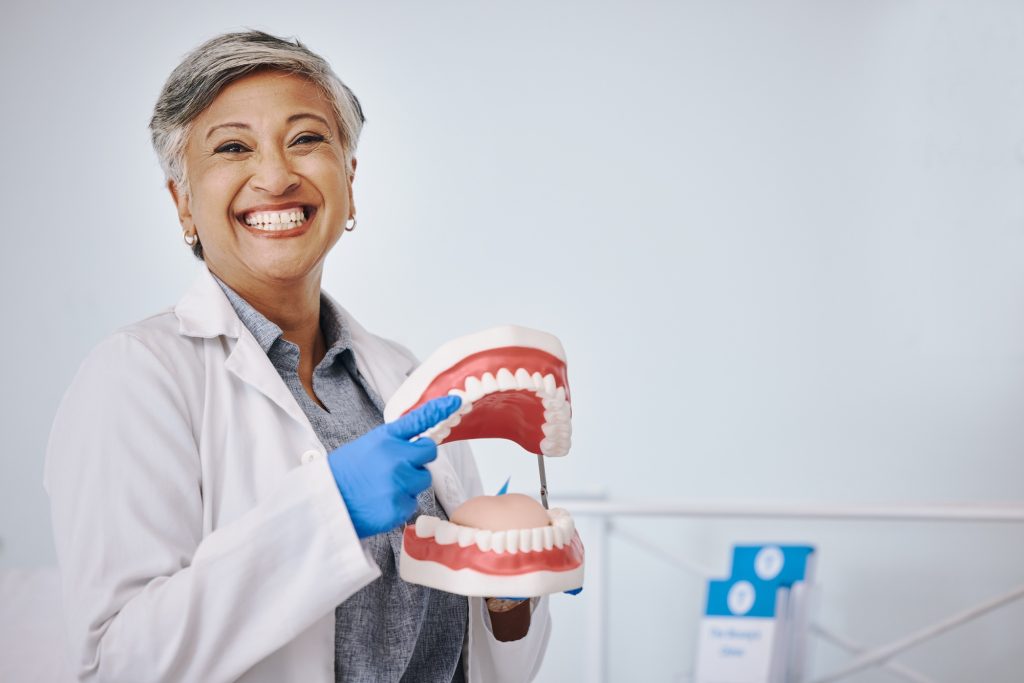 Dentist, dentures and portrait of senior woman for dentistry, medical and dental service in clinic.